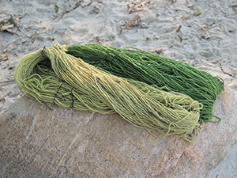 vassvippa